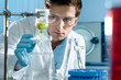 scientist working at the laboratory scientist working at the laboratory