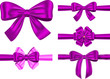 Violet gift ribbon set Violet gift ribbon set