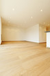 new apartment, large room