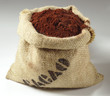 cacao