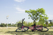 Bicycle lying on its side on grass in park