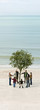 Group of people holding hands in circle around solitary tree on beach