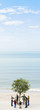 Ecology concept, group holding hands in circle around solitary tree on beach