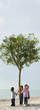 Group of children holding hands in circle around solitary tree on beach