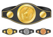 Vektor: Three champion belts. Vector illustration. Three champion belts. Vector illustration.