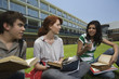 High school students having study group sitting on school lawn
