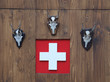Holzwand Schweiz Gemsengeweih