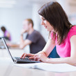 in the library - pretty female student with laptop in the library - pretty female student with laptop