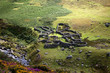 Old Sheep pen