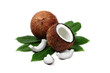 tropical coconuts