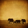 Photo: elephant's family elephant's family