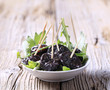 Glazed prunes