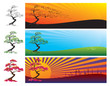The tree in the landscape