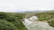 dovrefjell norwegen