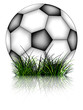 soccer ball and grass reflected