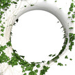 3d round wall frame