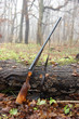 hunting gun in the autumn forest