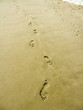 footprints in the sand