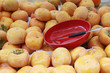 Persimmons for Sale