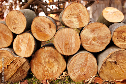 Photo: Logs Logs