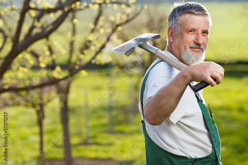 Photo: portrait of a senior man gardening in his garden portrait of a senior man gardening in his garden