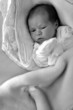 bébé