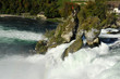 Rhine Falls