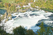 Rhine Falls