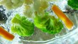 Video: Vegetables in Slow Motion Vegetables in Slow Motion