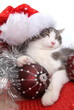 Weihnachtsmann