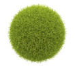 Illustration: Abstract green sphere of grass 3D. Environment concept. Isolate Abstract green sphere of grass 3D. Environment concept. Isolate