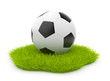 Soccer ball  on green grass. Sport concept. Isolated on white ba