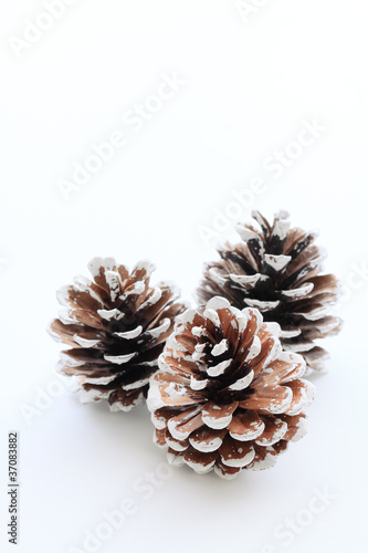 Photo: three pine cones three pine cones