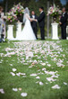 Wedding day