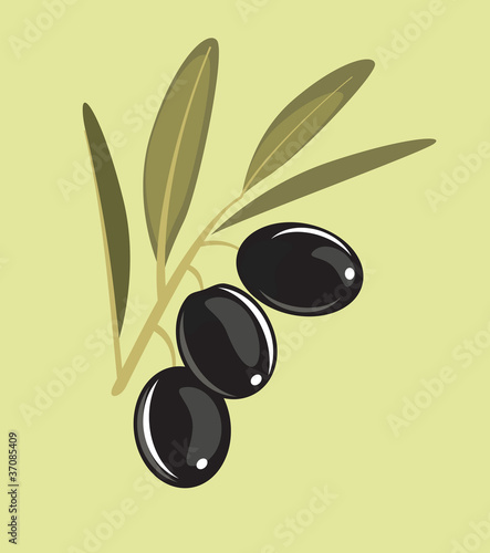  olive branch