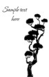 Bonsai Tree Silhouette in ink