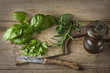 Herbs