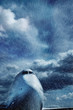 snow flight