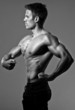 fitness model