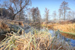 Frosty river