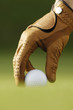 Golfball mit Golfhandschuh