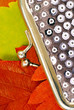 Photo: Silver Purse Silver Purse