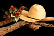 Photo: A Cowboy Christmas A Cowboy Christmas