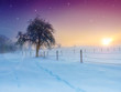 Wintertraum