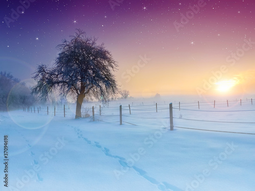Foto: Wintertraum Wintertraum