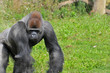 zoo de palmyre