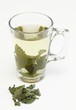 Tea from dried lemon balm  leaves