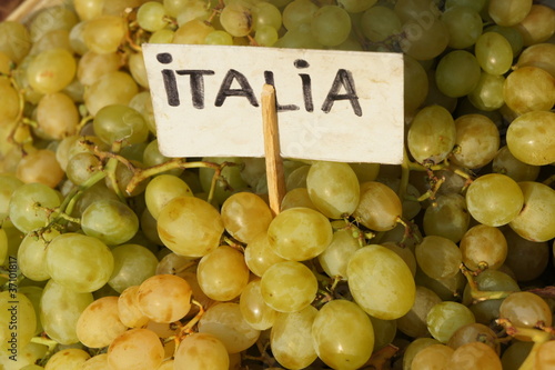Foto: Weintrauben Obst Lebensmittel Italien Weintrauben Obst Lebensmittel Italien