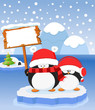 Penguins' Xmas Message