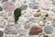 Stadtmauer mit Efeu